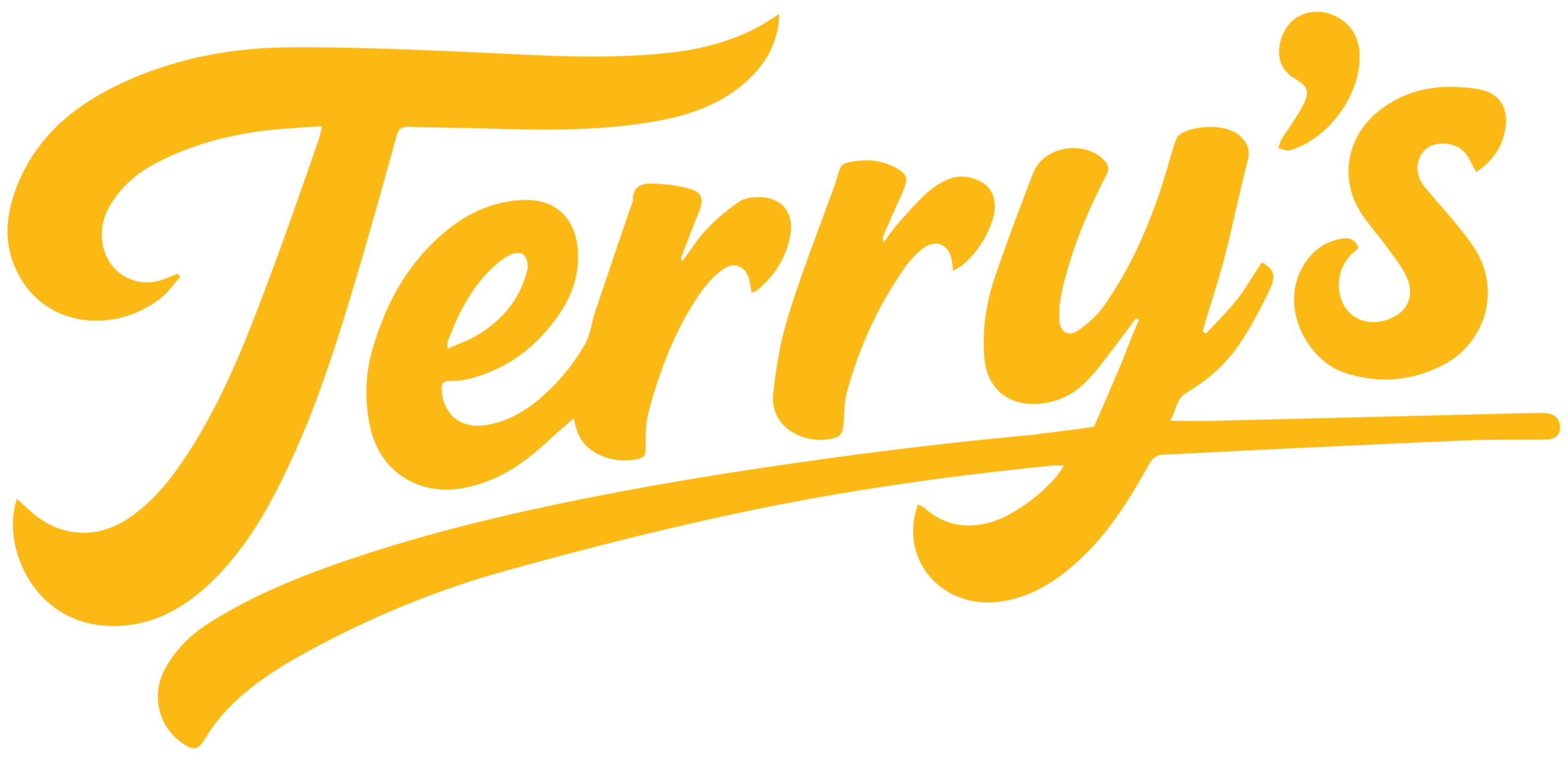 Terry's Pizza Shop – Pizzas Artesanais de Fermentação Natural em Itajaí – SC